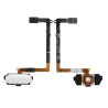 Home Button with Flex Cable