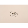 SCREW Screw Pack C 82VF