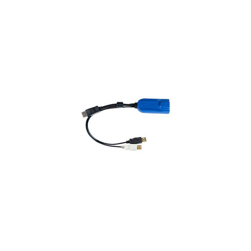 Digital DisplayPort, USB CIM