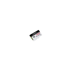 128GB microSDXC Endurance Card Only