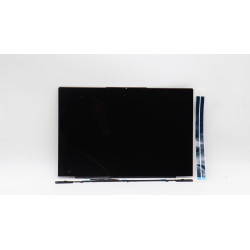 DISPLAY LCD MODULE W 21AT