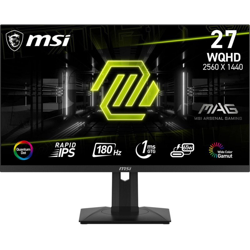 Mag 274Qrfde Qd E2 Computer