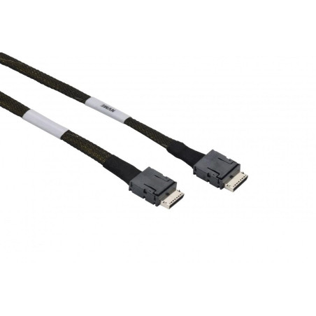 Serial Attached Scsi (Sas)