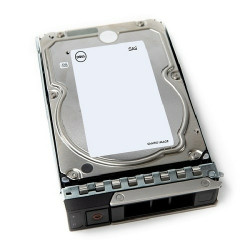 12TB 7.2K RPM NLSAS ISE 12Gbps 512e