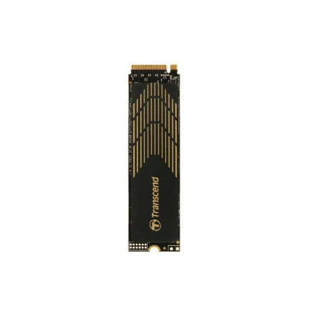 240S 500GB, M.2 2280, PCIe | APLIUM
