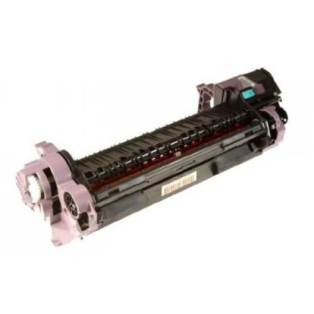 Fusing Assembly 220V