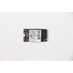 256GB M.2 2242 PCIe NVMe SSD