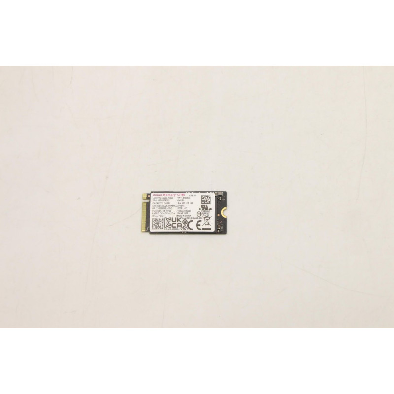 256GB M.2 2242 PCIe 4.0 NVMe