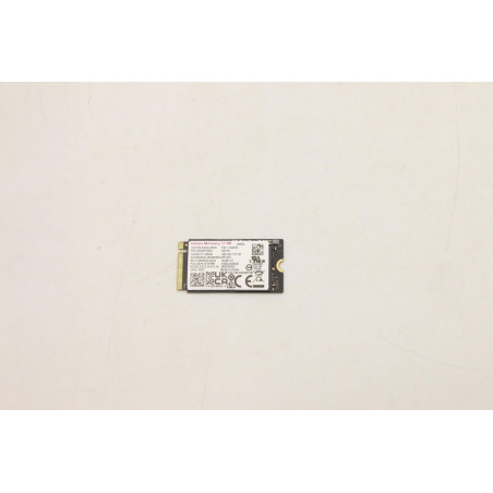 256GB M.2 2242 PCIe 4.0 NVMe
