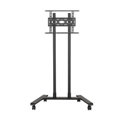 Large Universal Flat Screen