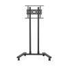 Large Universal Flat Screen
