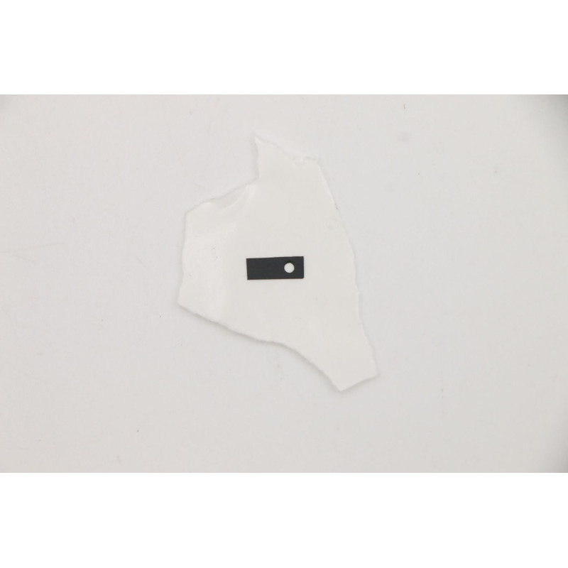 Mylar C 81XE camera component
