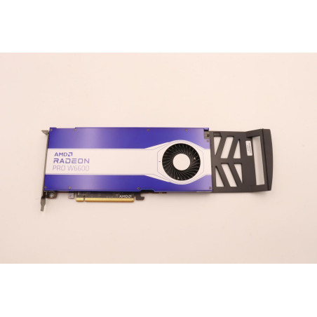 AMD Radeon PRO W6600 graphics