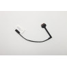 Ares 1.0 FRU cable