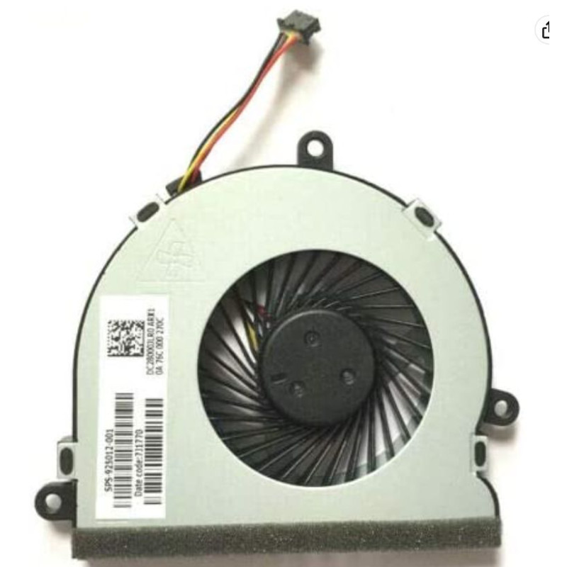 Fan