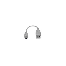 6in Mini USB 2.0 Cable - A to Mini B