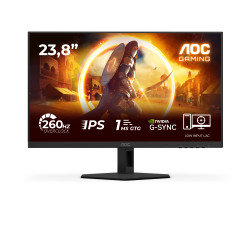 24G4ZRE 24' 16:9 Fast IPS 260Hz