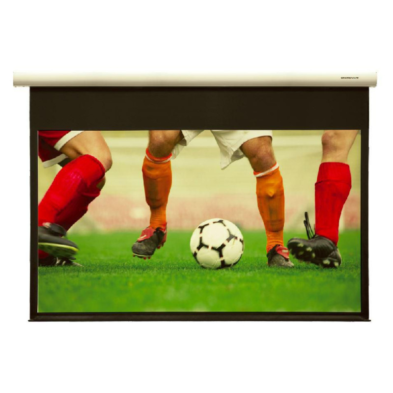 Fantasy motorized WM screen