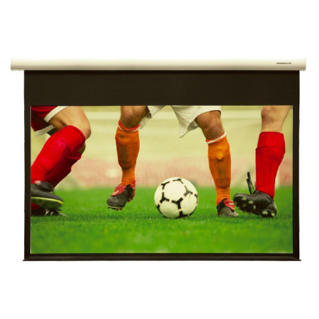 Fantasy motorized WM screen