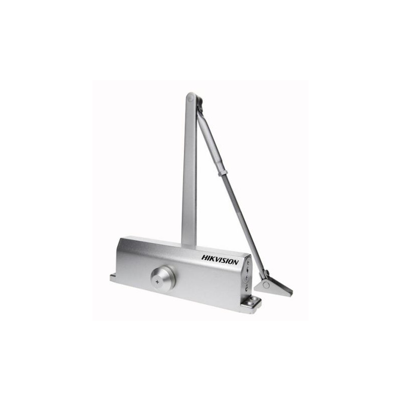 IP 2M mobile minidome camera