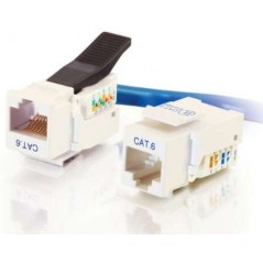 C2G Cat6 RJ45 UTP Toolless Keystone Jack, Blanco, RJ45, Oro, 12 g