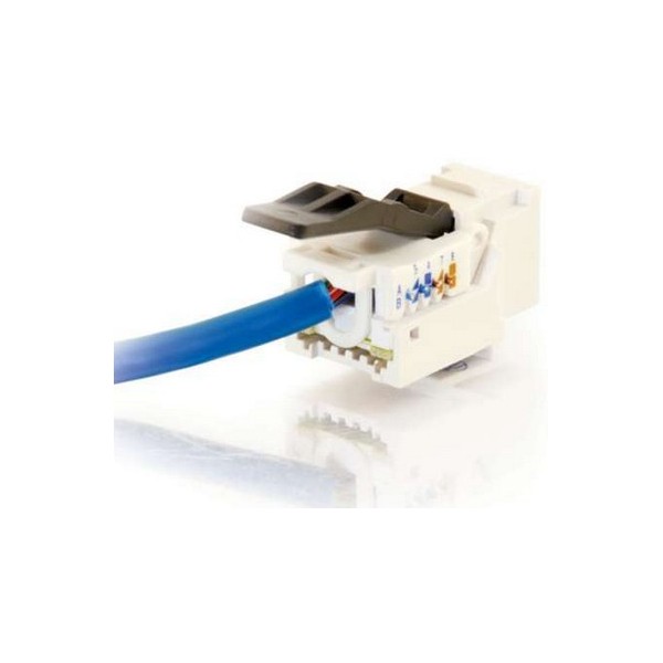 C2G Cat6 RJ45 UTP Toolless Keystone Jack, Blanco, RJ45, Oro, 12 g