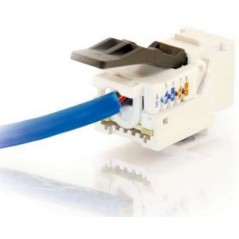 C2G Cat6 RJ45 UTP Toolless Keystone Jack, Blanco, RJ45, Oro, 12 g