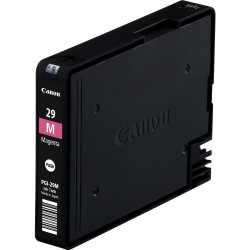 Ink/PGI-29 Cartridge MG