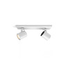 RUNNER HUE BAR/TUBE WHITE 2X5W CON MANDO