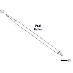 Ball Bearing