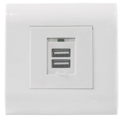 2-Port Usb-A Wall Outlet With