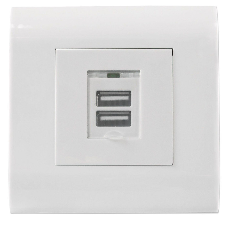 2-Port Usb-A Wall Outlet With