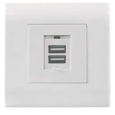 2-Port Usb-A Wall Outlet With