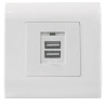 2-Port Usb-A Wall Outlet With