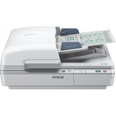 Epson WorkForce DS-6500, 215,9 x 1016 mm, 1200 x 1200 DPI, 48 bit, 24 bit, Escáner de superficie plana y alimentador automático 