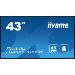 43" 3840x2160, UHD IPS panel