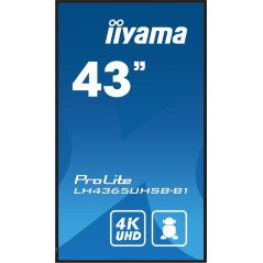 43" 3840x2160, UHD IPS panel