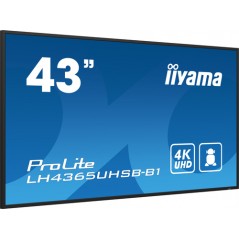 43" 3840x2160, UHD IPS panel