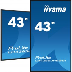 43" 3840x2160, UHD IPS panel