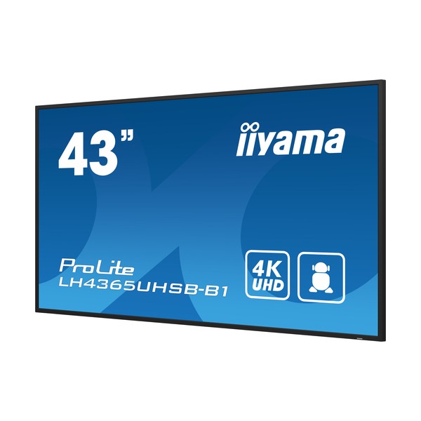 43" 3840x2160, UHD IPS panel
