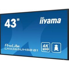43" 3840x2160, UHD IPS panel