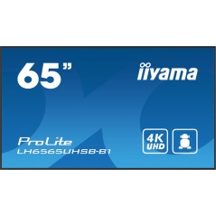 65" 3840x2160, UHD IPS panel