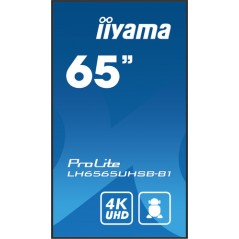 65" 3840x2160, UHD IPS panel