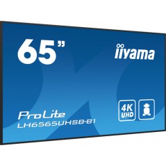 65" 3840x2160, UHD IPS panel