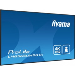 65" 3840x2160, UHD IPS panel
