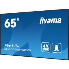 65" 3840x2160, UHD IPS panel
