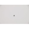 assembly screw
