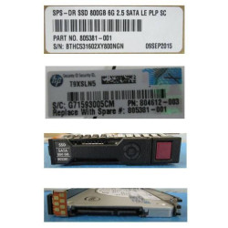 800GB Hot-Plug SSD Sata