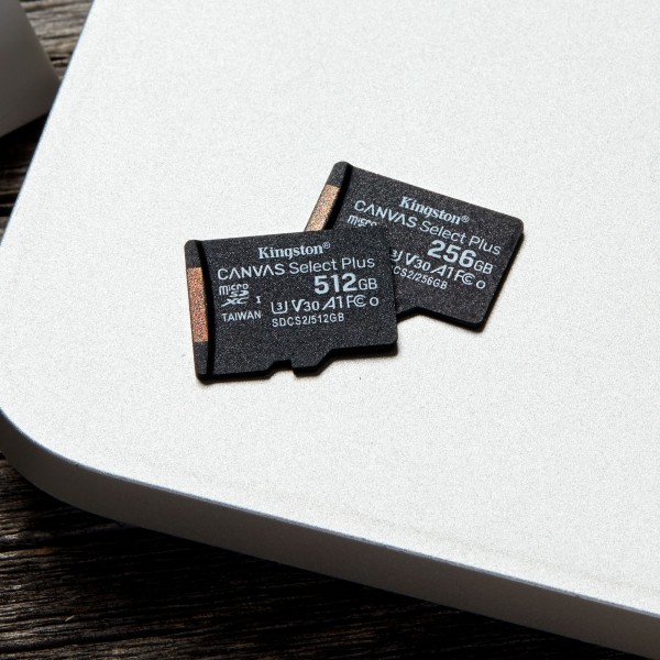 512GB microSDXC Canvas Select