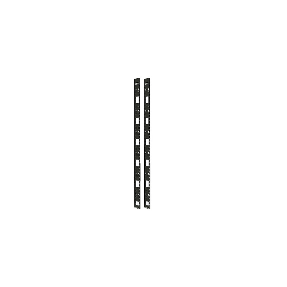 apc-vertical-cable-organizer-ns-vl-42u-qty2-1.jpg